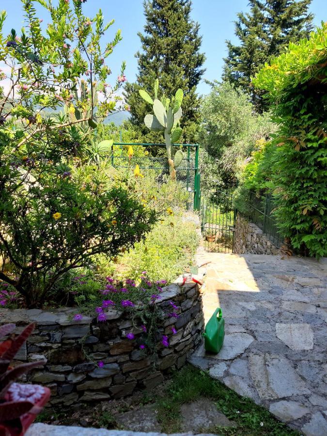 Willa L'Antico Frantoio Rapallo Zewnętrze zdjęcie